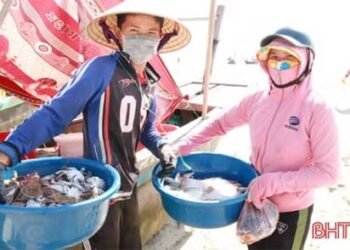 Ngư dân thu tiền triệu sau vài giờ khai thác ghẹ biển ở Hà Tĩnh