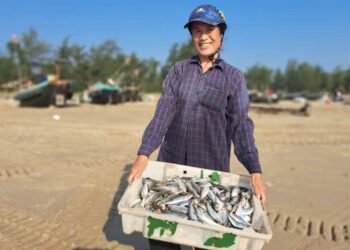 Mừng Quốc khánh, ngư dân Nghi Xuân hăng say bám biển