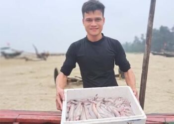 Cá cháo Nghi Xuân tươi ngon, được giá