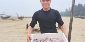Cá cháo Nghi Xuân tươi ngon, được giá