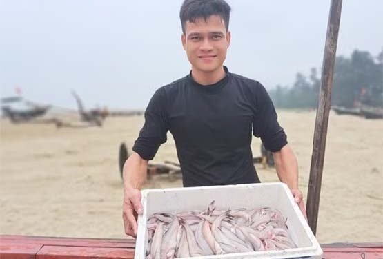Cá cháo Nghi Xuân tươi ngon, được giá