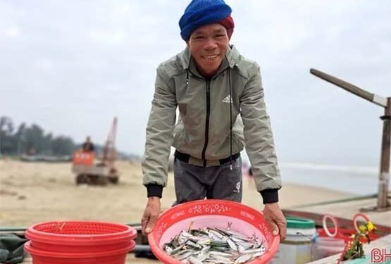 Xông biển đầu năm, ngư dân Nghi Xuân trúng đậm cá trích