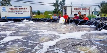 Hà Tĩnh tăng cường kiểm soát chất lượng tôm giống vụ xuân – hè 2025