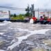 Hà Tĩnh tăng cường kiểm soát chất lượng tôm giống vụ xuân – hè 2025