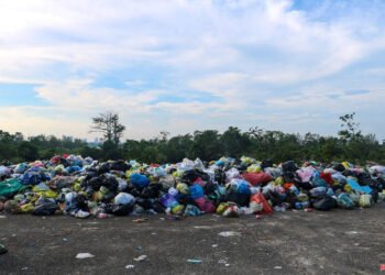 Rác thải bủa vây đê hữu sông Lam
