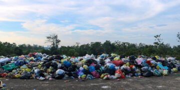Rác thải bủa vây đê hữu sông Lam