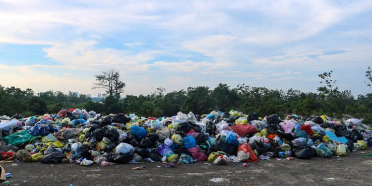 Rác thải bủa vây đê hữu sông Lam