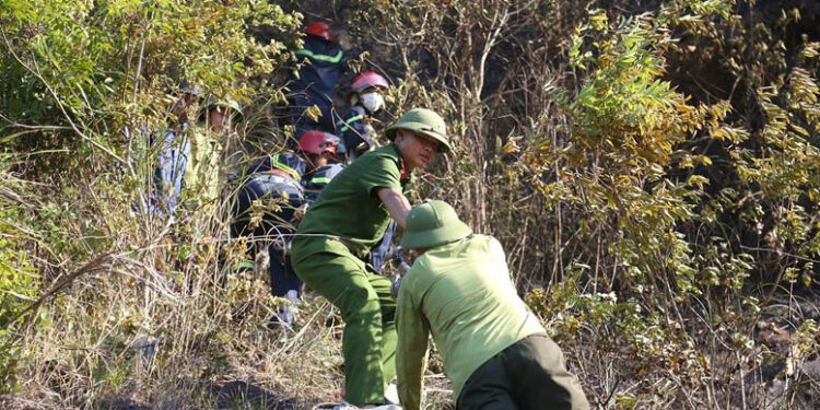 Nhanh chóng dập tắt lửa rừng ở Nghi Xuân