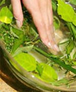 Hà Tĩnh: Phát hiện xác nam thanh niên chết trong vườn lạc