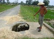 Thực đơn cho người bệnh tiểu đường