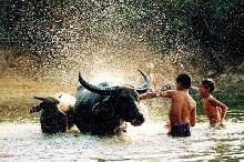 Tâm Sự Của Bạn Lê Thị Lý